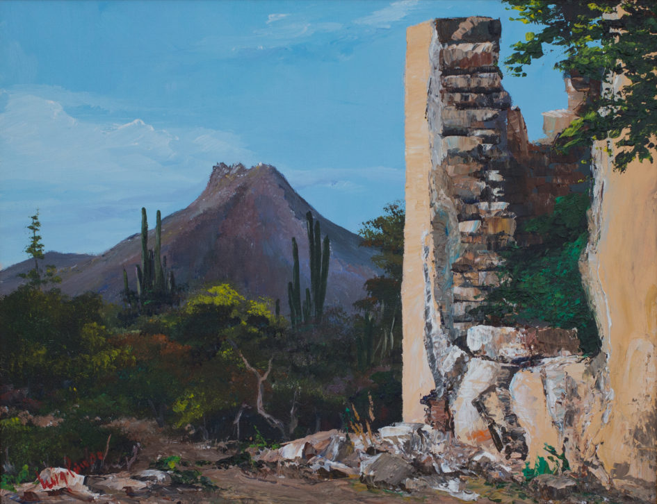 Plantantion Zorgvliet and Christofelberg